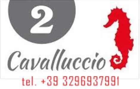 Mar&Sol Hotell Termoli Eksteriør bilde